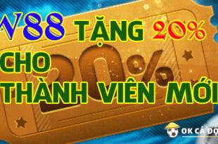 W88 Thưởng 20%