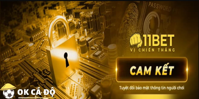 11bet cam kết