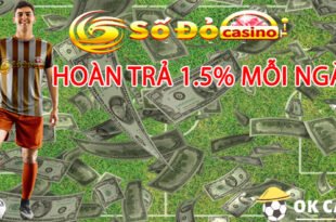 hoàn trả 1.5% mỗi ngày