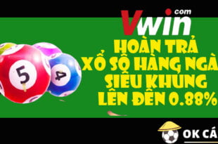 Vwin Hoàn trả xổ số hàng ngày siêu khủng lên đến 0.88%