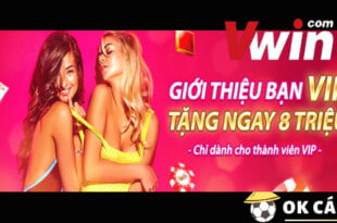 Vwin VIP giới thiệu