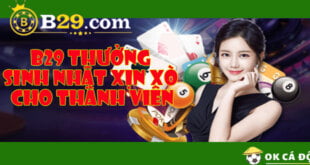 B29 Thưởng Sinh nhật xịn xò cho thành viên