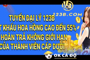 123B.com tim dai ly dam me kiem tien hoa hong den 55 1