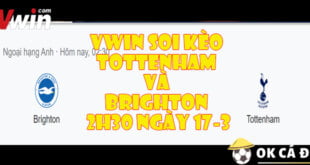 VWIN Soi Kèo Tottenham và Brighton 2h30 ngày 17-3