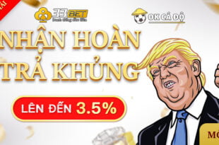 33BET hoàn trả lên tới 3.5%