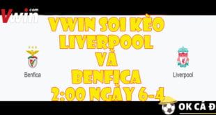 VWIN Soi keo Liverpool va Benfica