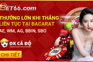 bet66 thang nhieu thuong lon