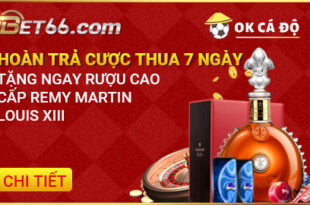 Bet66 hoàn tiền cược thua hàng tuần