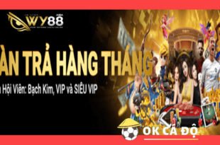 WY88.com hoan tra thang khung den 20888000 VND