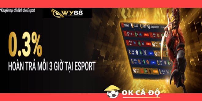 wy88 hoan tra e sport hap dan